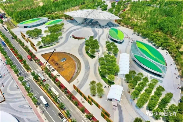 上海｜親自體驗中國花卉界的“奧林匹克”盛宴！