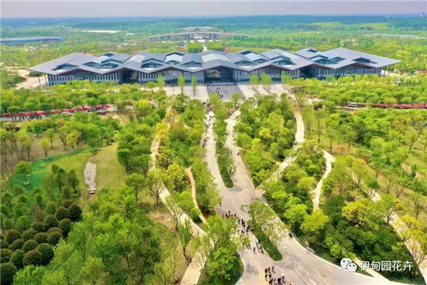 上海｜親自體驗中國花卉界的“奧林匹克”盛宴！