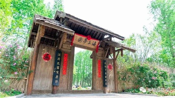 上海｜親自體驗中國花卉界的“奧林匹克”盛宴！