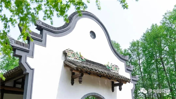 上海｜親自體驗中國花卉界的“奧林匹克”盛宴！