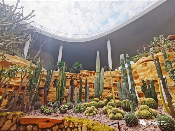 上海｜親自體驗中國花卉界的“奧林匹克”盛宴！